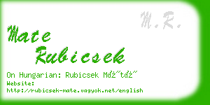 mate rubicsek business card